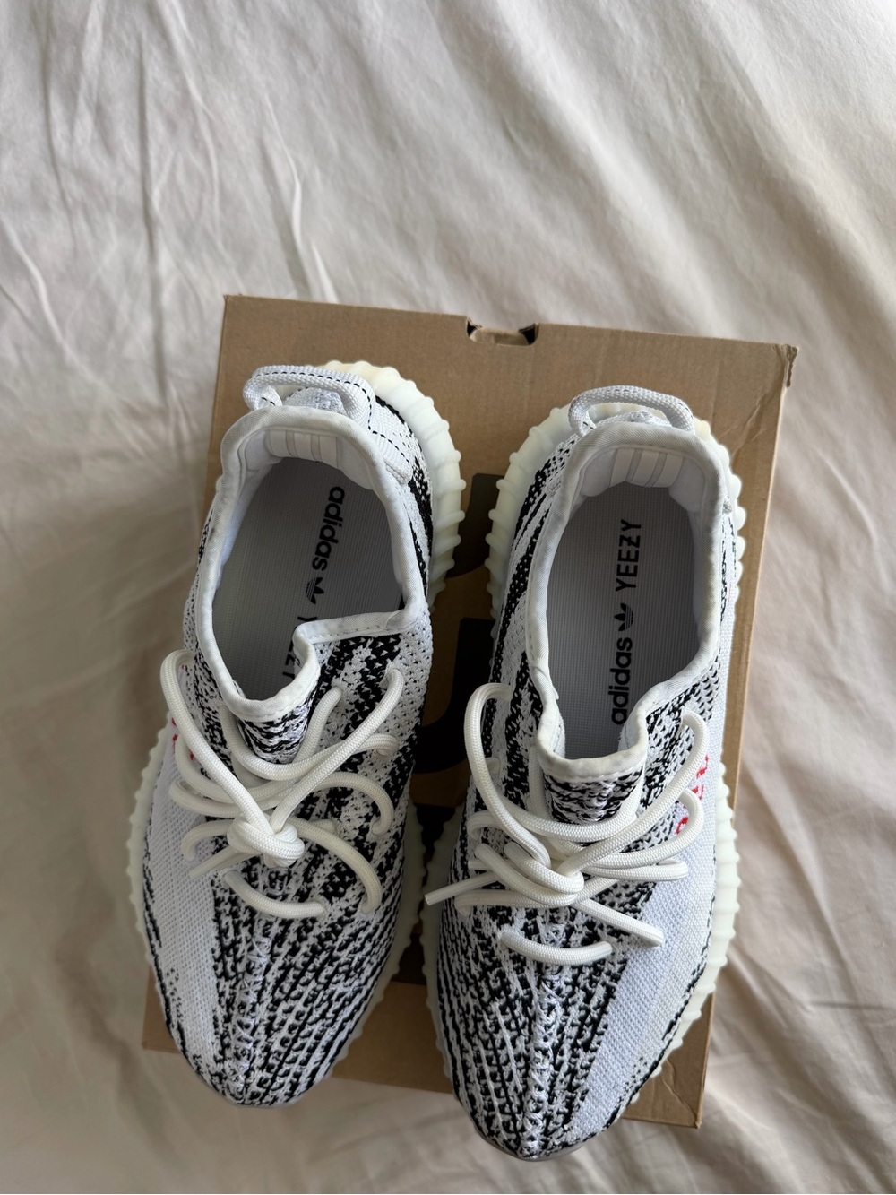 'Zebra' Yeezys - Picture 2 of 7
